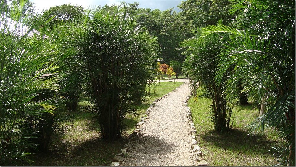 Maya Zac Peten Jungle Lodge Эль-Ремате Экстерьер фото
