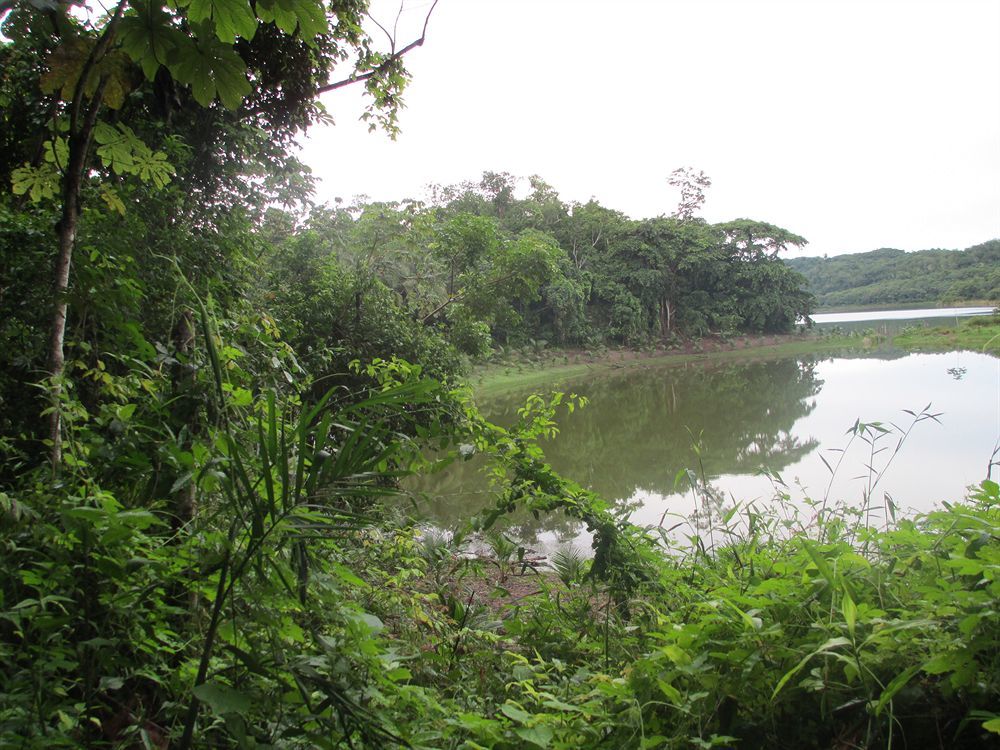 Maya Zac Peten Jungle Lodge Эль-Ремате Экстерьер фото